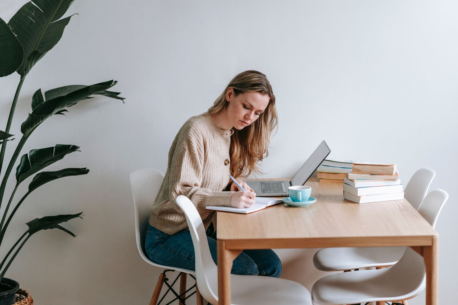 Author planning a book marketing strategy with a notebook and laptop