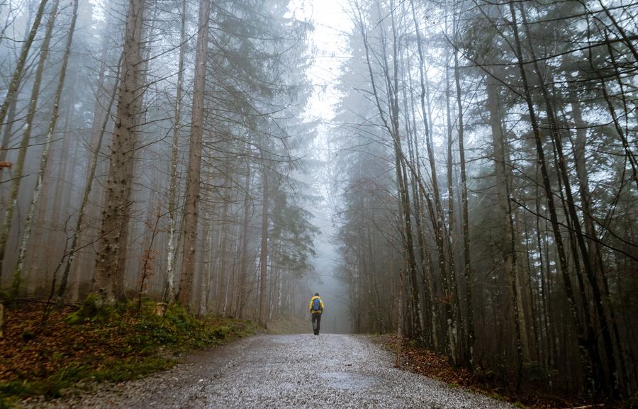 Person walking a foggy forest path during a character redemption arc